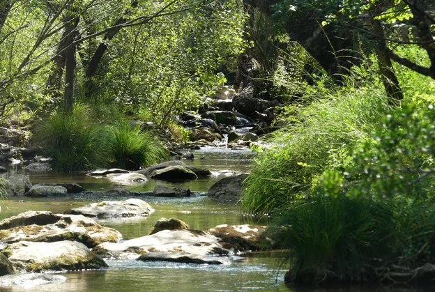 Randonnée TOURVES - Les gorges du Caramy