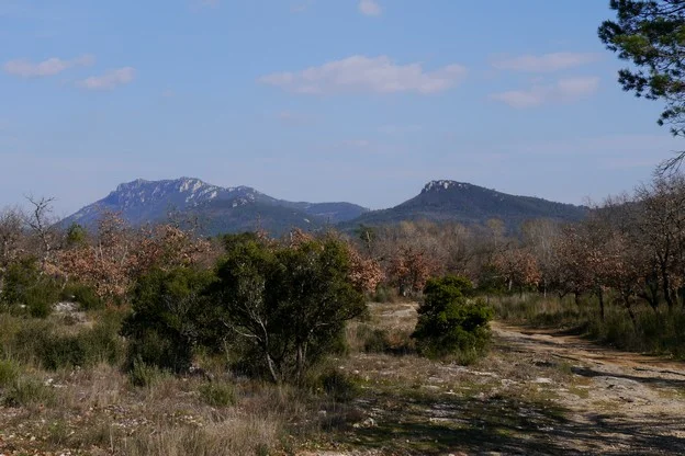 Randonnée MAZAUGUES - La glacière de Pivaut et le Gaudin