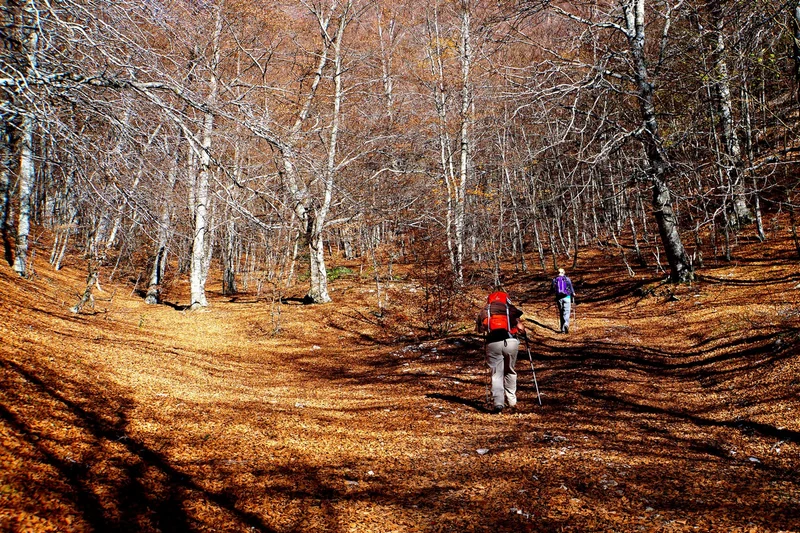 Randonnée SAINT-ÉTIENNE-LES-ORGUES - Forêts de Lure · Saint-Étienne-les-Orgues