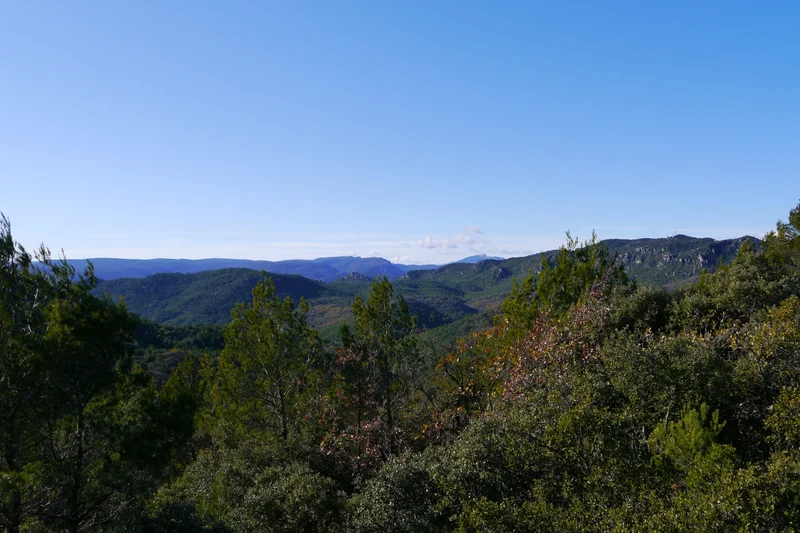 Randonnée GAREOULT - Le bois de Cavaillon