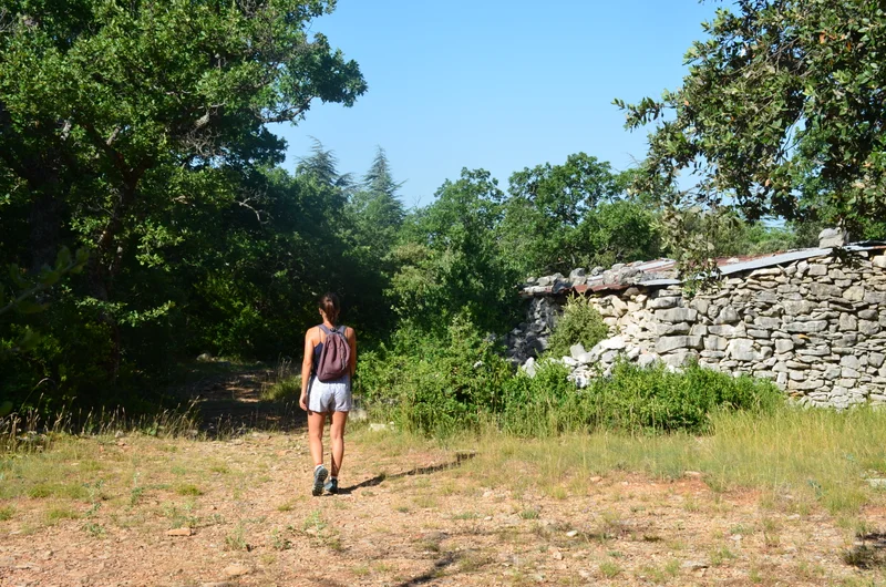 Randonnée FLASSAN - La combe de Canaud