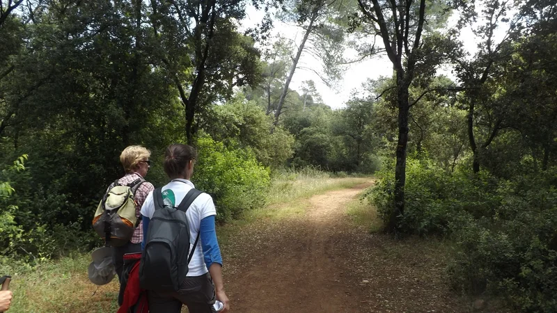 Randonnée MÉRINDOL - Petit tour de La Garrigue · Mérindol