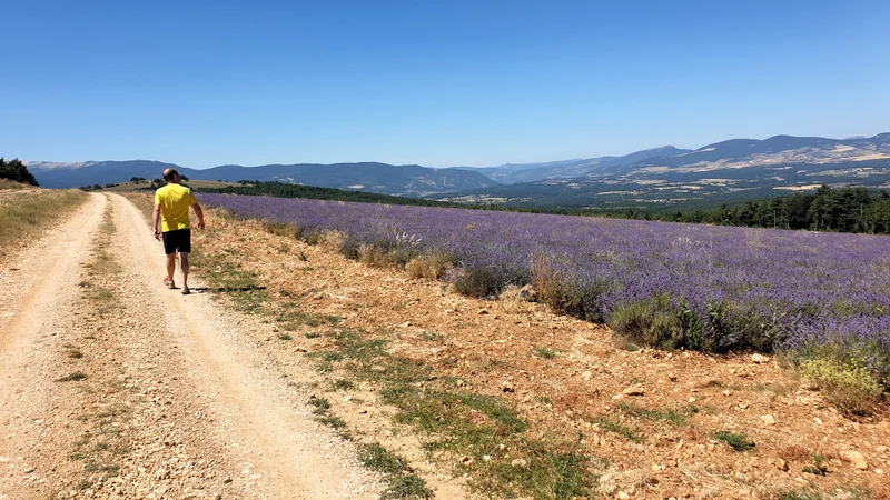 Randonnée SAULT - Autour de la Tour de Durefort