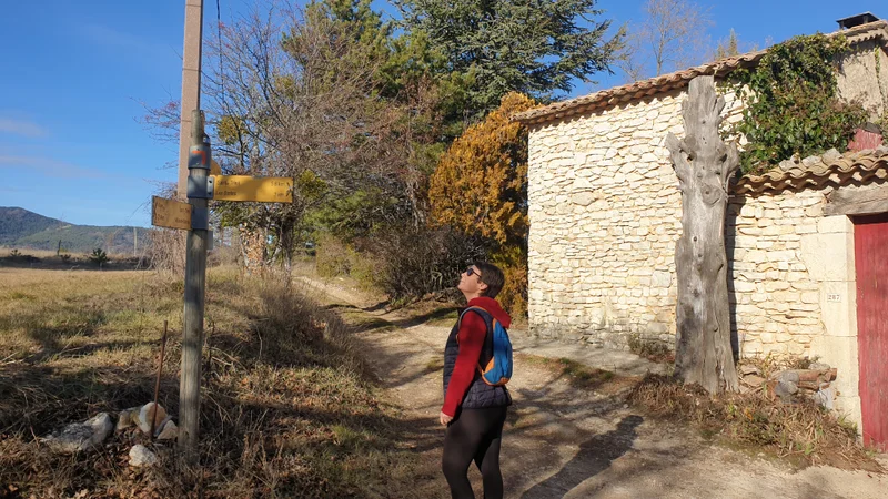 Randonnée ST-TRINIT – Les chênes séculaires des bois de la Caviote