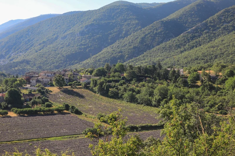 Randonnée AURIBEAU - Mourre Nègre et biodiversité en chemin