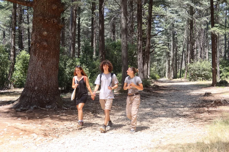 Randonnée BONNIEUX -LACOSTE - Forêt des Cèdres du Petit Luberon