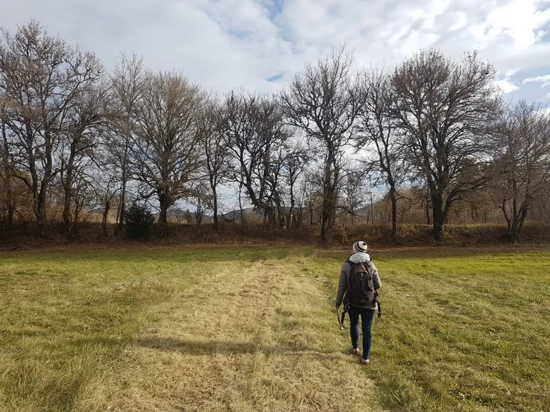 Randonnée COMPS-SUR-ARTUBY -  Sentier des Prés de Laure · Comps-sur-Artuby