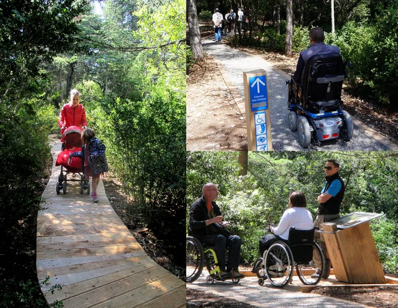 Randonnée BONNIEUX - LACOSTE - Chemin des Cèdres · Bonnieux