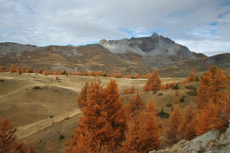 Randonnée CHATEAU QUEYRAS - Col de la Crèche