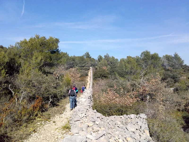 Randonnée CABRIÈRES D'AVIGNON - Le mur de la Peste