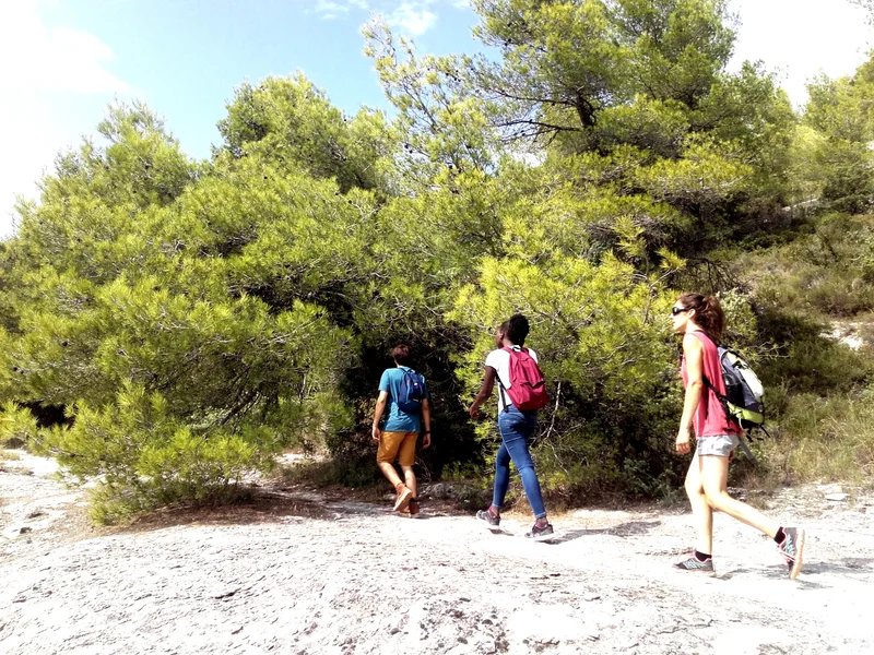 Randonnée LES BEAUMETTES - Sentier botanique