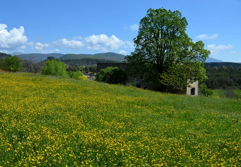 Randonnée COMPS-SUR-ARTUBY - Le Fayet · Comps-sur-Artuby
