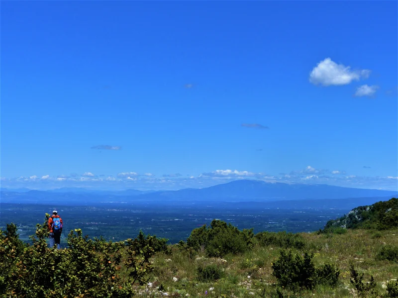 Randonnée SAINT-RÉMY-DE-PROVENCE - Entre vallon et plateau