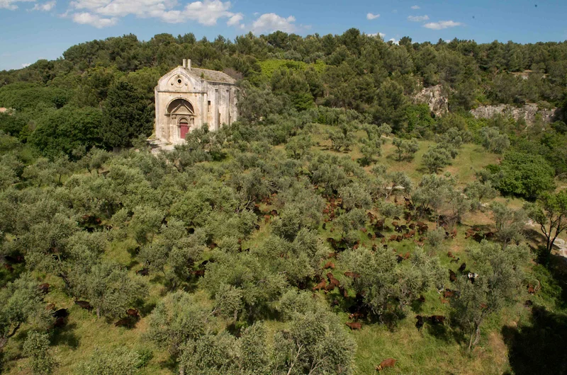 Randonnée TARASCON - La Routo : autour de Saint-Gabriel