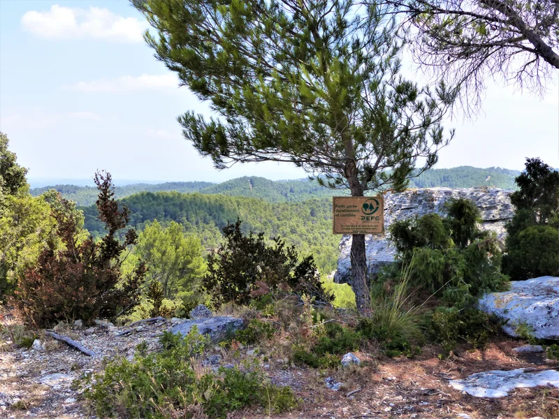 Randonnée TARASCON - La Routo : sentier des chapelles
