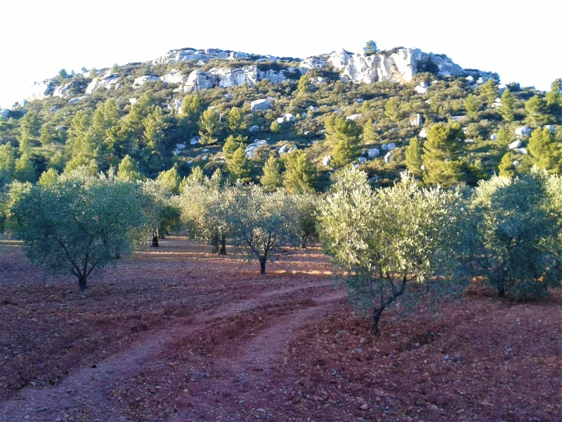 Randonnée MAUSSANE-LES-ALPILLES - Vers les Baux-de-Provence