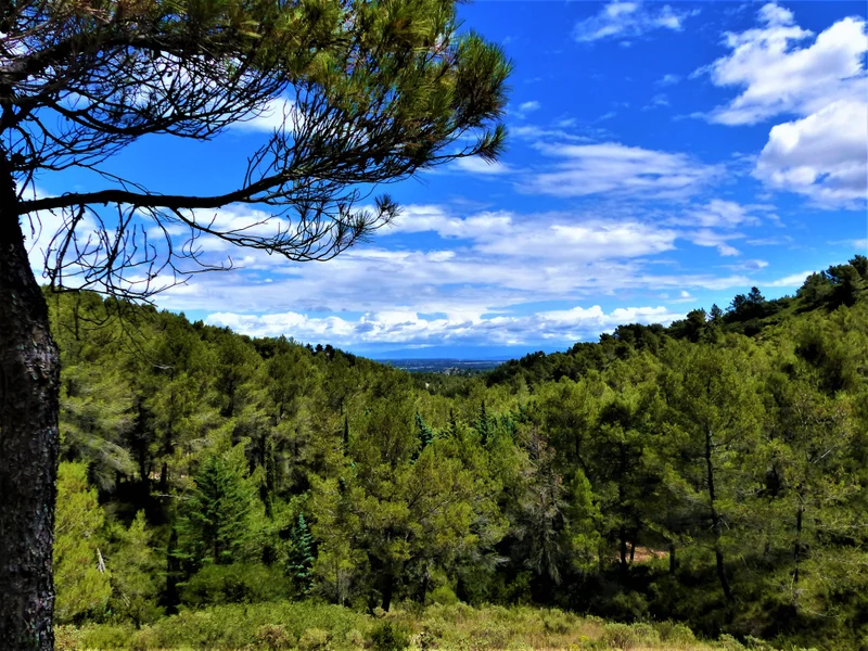 Randonnée SAINT-RÉMY-DE-PROVENCE - De Saint-Rémy aux Baux