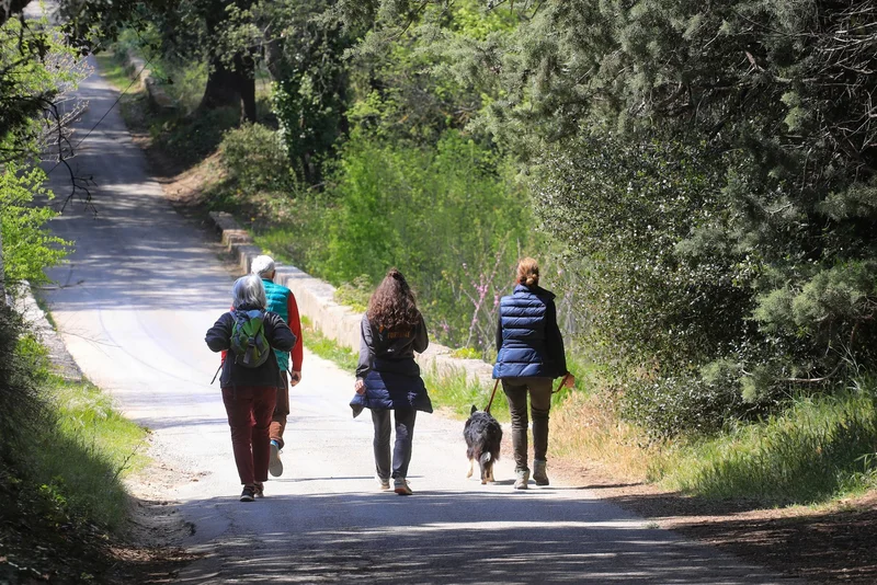 Randonnée LOURMARIN - Tour du Collet de Pierrouret · Lourmarin
