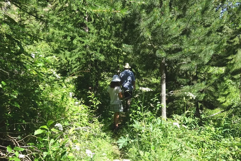Randonnée CERVIERES - Sentier botanique