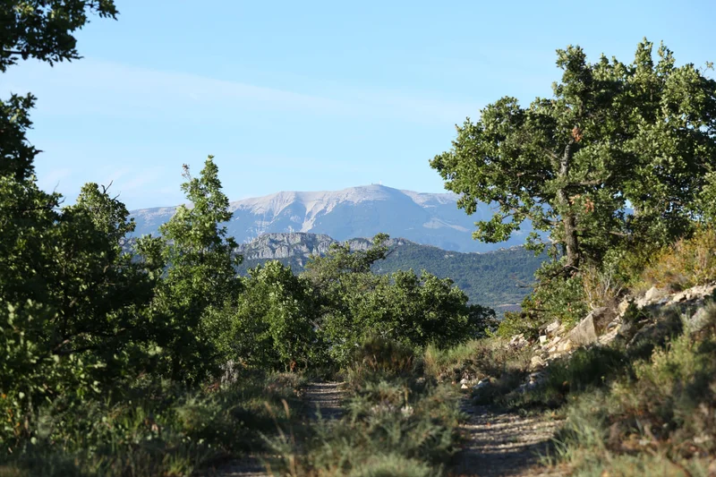 Randonnée POËT-SIGILLAT - Sentier de la Pause · Le Poët-Sigillat