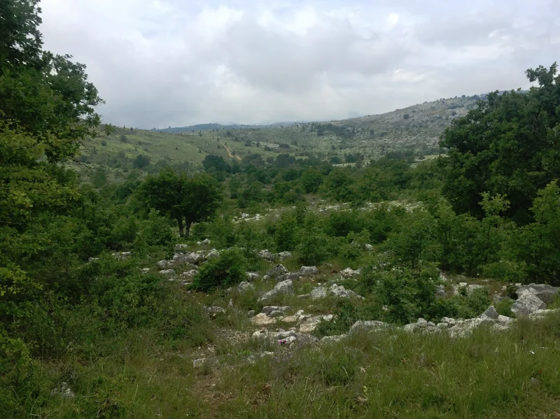Randonnée VENCE - Plan des Noves