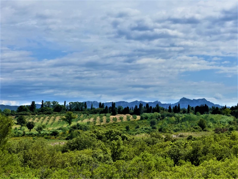 Randonnée SAINT-MARTIN-DE-CRAU - Circuit de la Garrigue