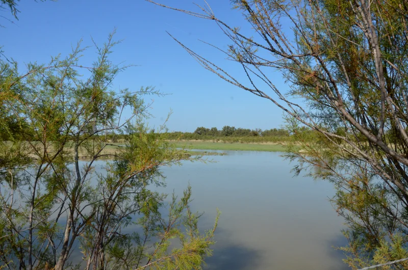 Randonnée ARLES - Au cœur des marais du Verdier