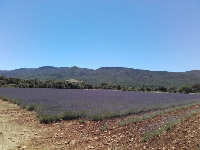 Randonnée BUOUX - Le plateau des Claparèdes (0)