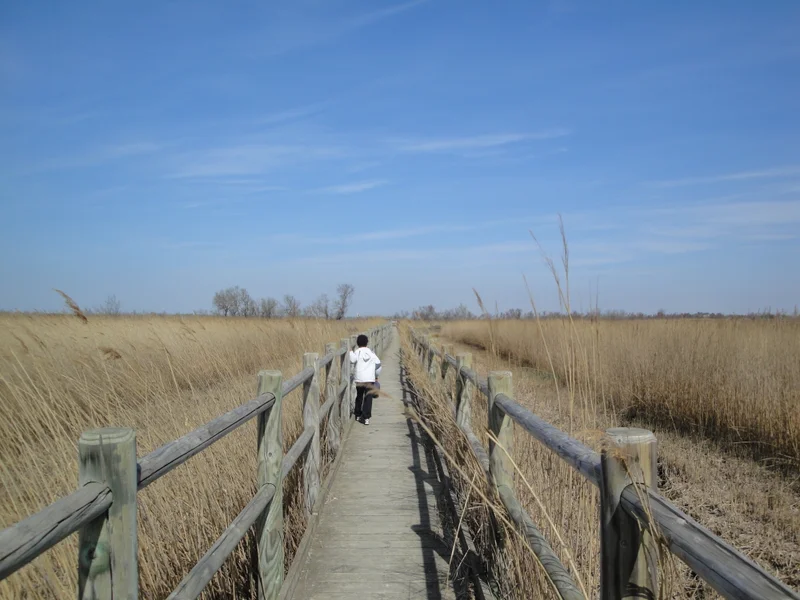 Randonnée ARLES - Sur le sentier du Pont de Rousty