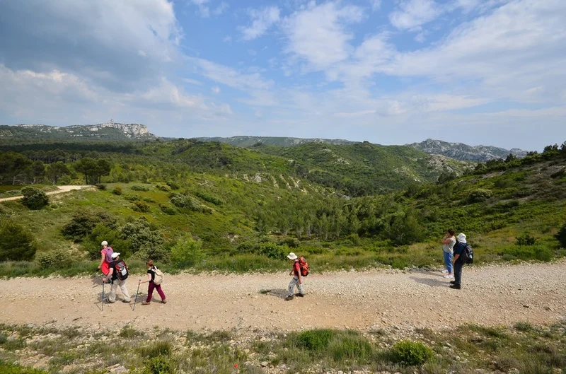 Randonnée AUREILLE - La Vallongue