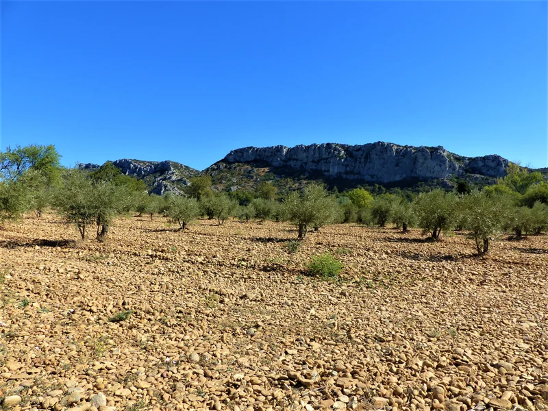Randonnée EYGUIÈRES - Vallon des Glauges