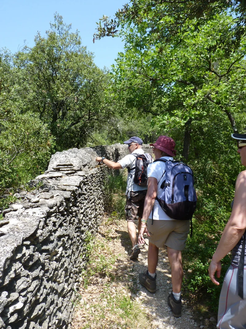 Randonnée LES BEAUMETTES - Balade des garrigues · Beaumettes