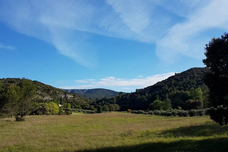 Randonnée PUGET-SUR-DURANCE - Piémonts et biodiversité en chemin