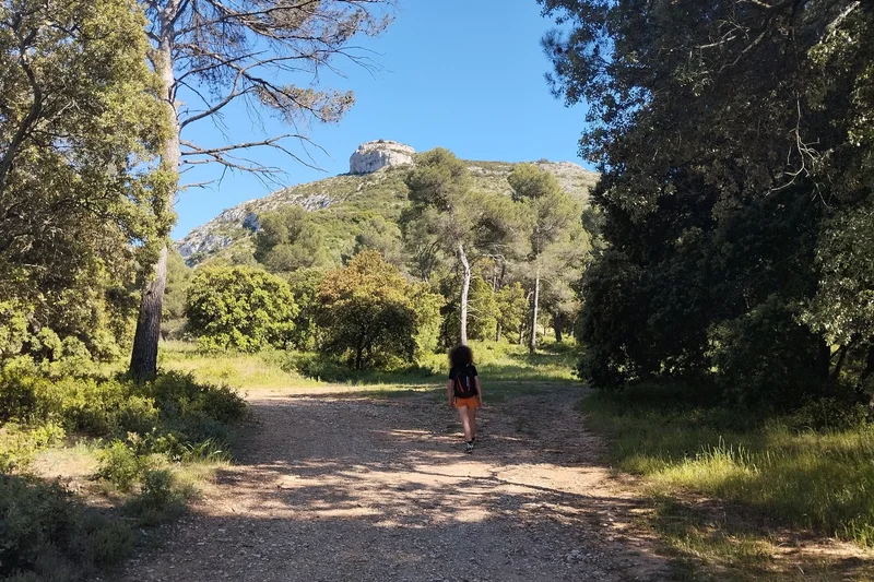 Randonnée LES TAILLADES - Colline de Pied Caud