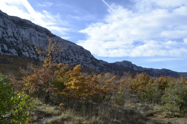 Randonnée PLAN D'AUPS SAINTE-BAUME - Du sentier Merveilleux à l'oratoire de Miette · Plan-d'Aups-Sainte-Baume
