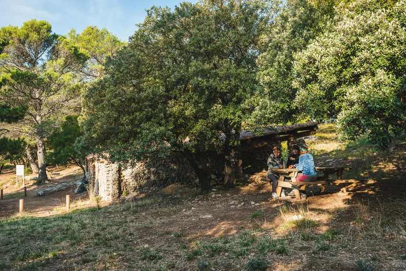 Randonnée CUGES-LES-PINS - Crête de la Sainte-Baume et Jas de Frédéric