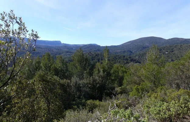 Randonnée SAINT-ZACHARIE - La forêt du Défens par le pas de Peyruis