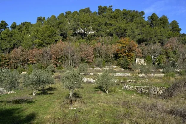 Randonnée NANS-LES-PINS - De l'Huveaune à Mantelette
