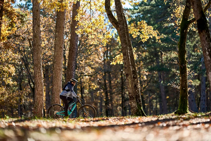 VTT SAULT - Le Bois du Défends à VTT