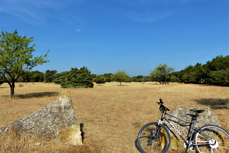 VTT SAINT-RÉMY-DE-PROVENCE - La Routo : pèr draio e pèr camin à VTT