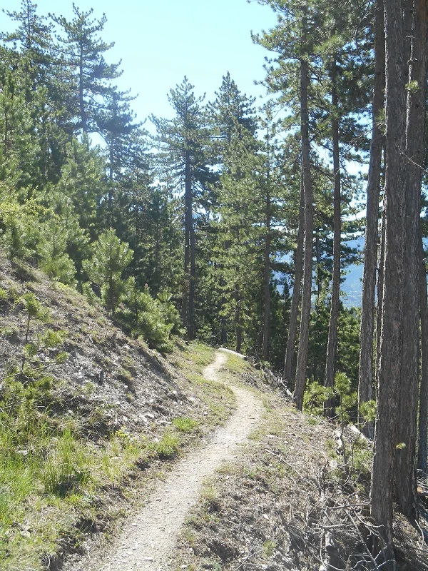 VTT SAINT-CRÉPRIN - Bois Durat à VTT