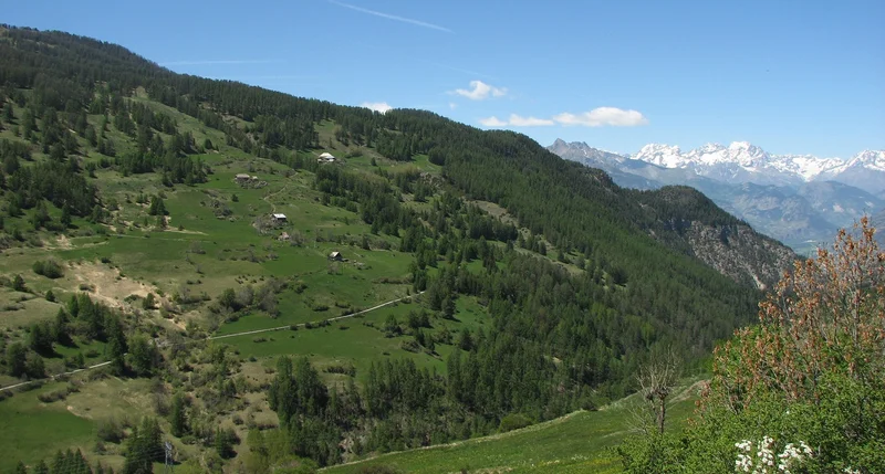 VTT VARS - Peynier à VTT