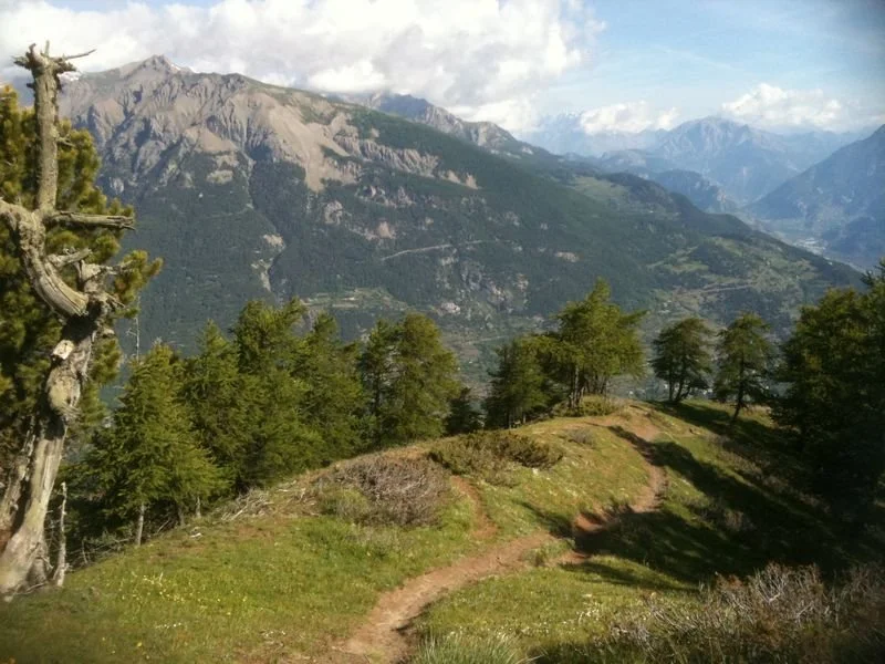 VTT RISOUL - Crêtes du Pénon à VTT