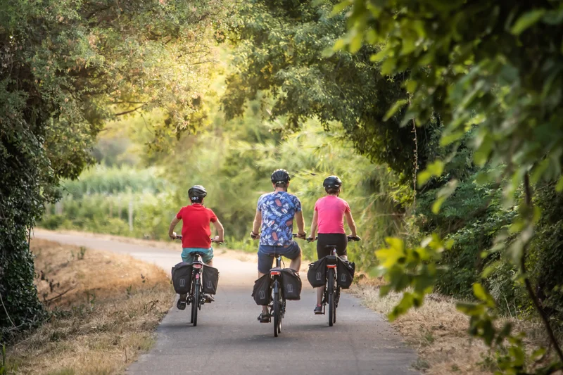 Vélo de route SAINT-RÉMY-DE-PROVENCE - Les jardins de Mistral à vélo