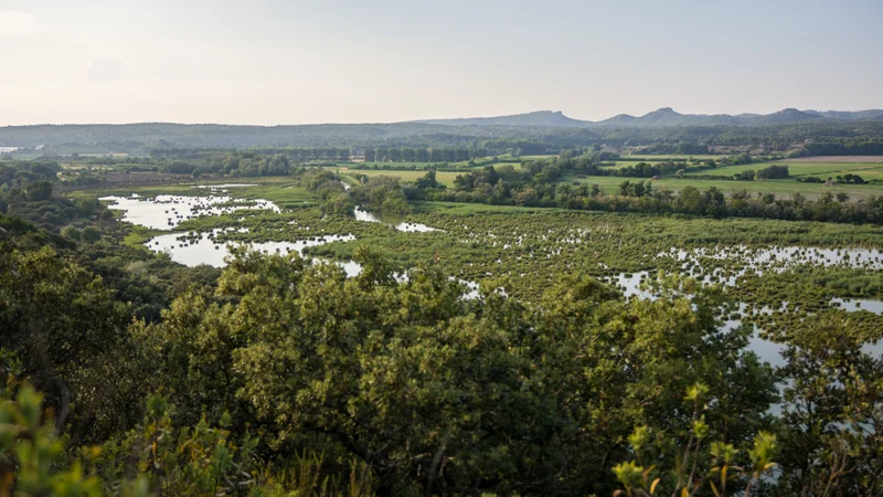 Vélo de route FONTVIELLE - Des Alpilles à la Camargue à vélo
