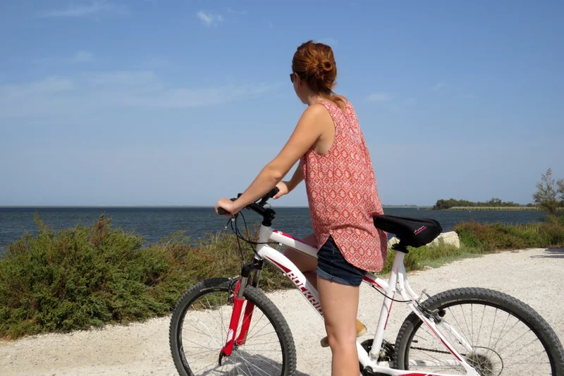 Vélo de route ARLES - À la découverte du Vaccarès à vélo