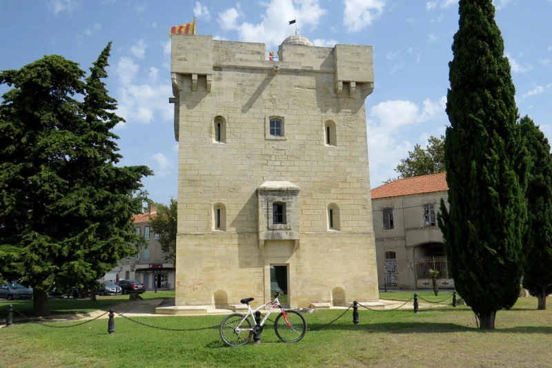 Vélo de route PORT-SAINT-LOUIS-DU-RHÔNE - La ville entourée d'eau à vélo