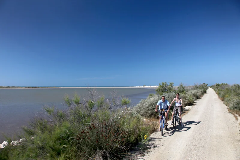 Vélo de route SALIN-DE-GIRAUD - Les trois étangs à vélo