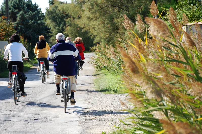 Vélo de route ARLES - Le chemin des taureaux à vélo
