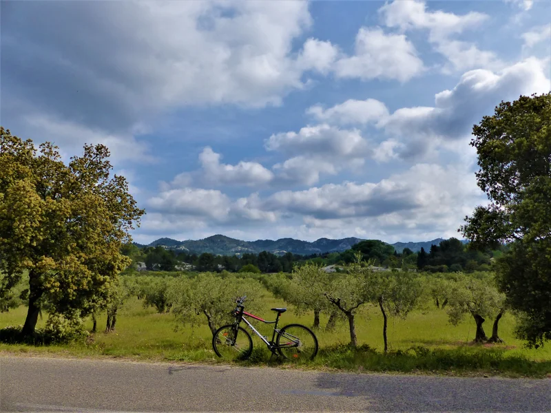 Vélo de route SAINT-RÉMY-DE-PROVENCE - À vélo, les Alpilles par le Val d'Enfer